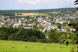 Blick auf Thalfang Blick auf Thalfang